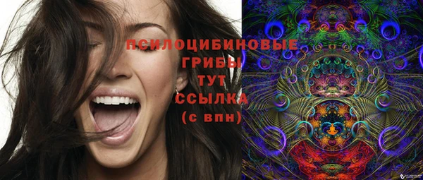 твердый Белоозёрский