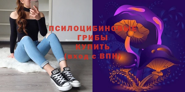 прущий лед Белокуриха