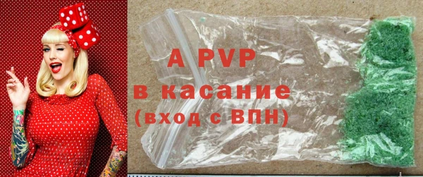 гашик Беломорск
